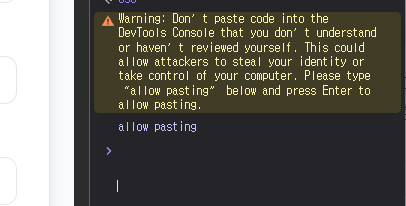 allow pasting 입력하기
