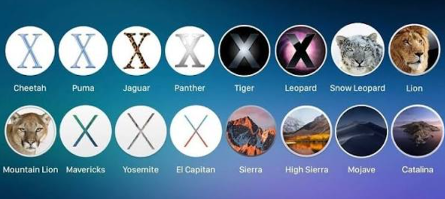 맥북 화면에 macOS 버전별 업그레이드 히스토리를 정리한 타임라인 그래픽, 업무용 노트북 배경